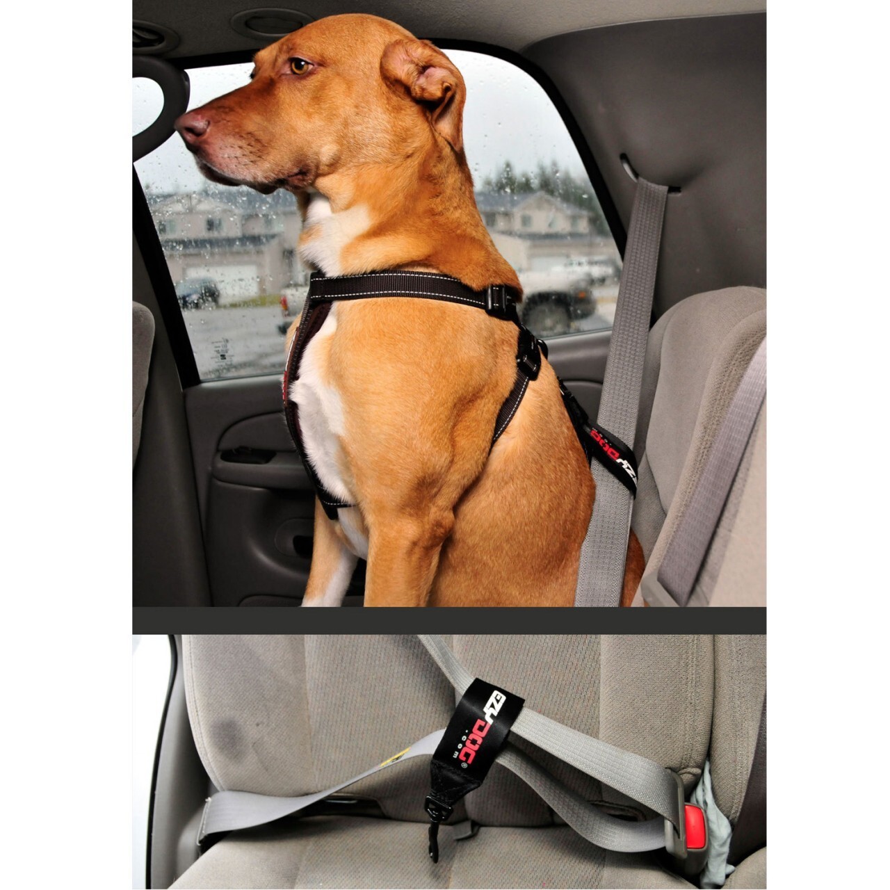 dog car restraint seat belt