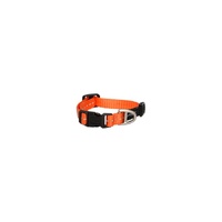 Rogz Utility Classic Dog Collar - X-Small (11mm x 16-22cm) - Orange