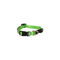 Rogz Utility Classic Dog Collar - Small (11mm x 20-31cm) - Lime