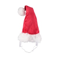 Christmas Santa Hat