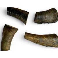 Goat Horn Butts with Marrow - 10 Pack