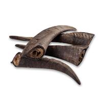 Goat Horn with Marrow - Medium (15-20cm) - 10 Pack