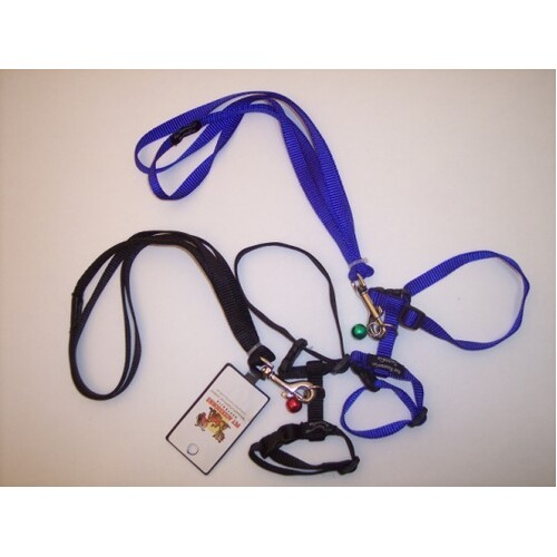 Small Animal Harness & Lead for Rat or Ferret (Purple)