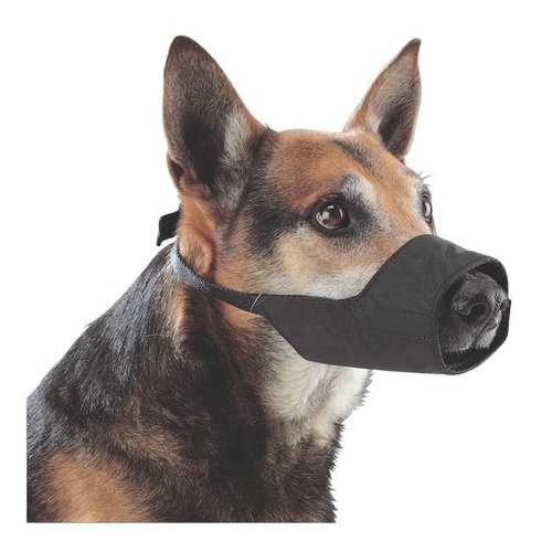 staffy muzzle