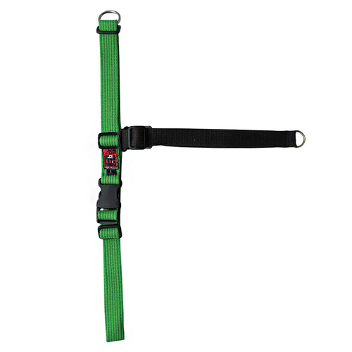 Black Dog Balance Harness - Large - Green