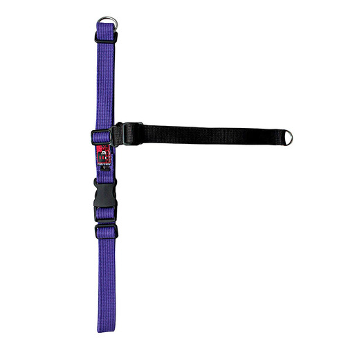 Black Dog Balance Harness - Large - Purple