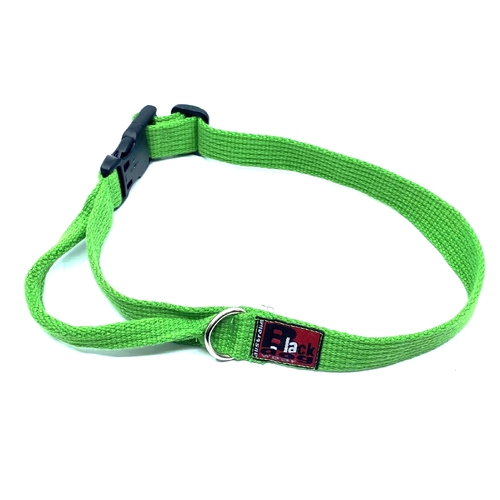 Black Dog Agility Flyball Dog Collar - Large - Green