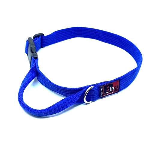 Black Dog Agility Flyball Dog Collar - Small - Blue