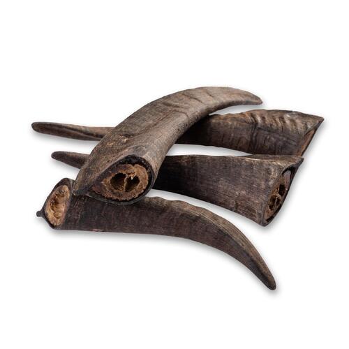 Goat Horn with Marrow - Medium (15-20cm) - 10 Pack