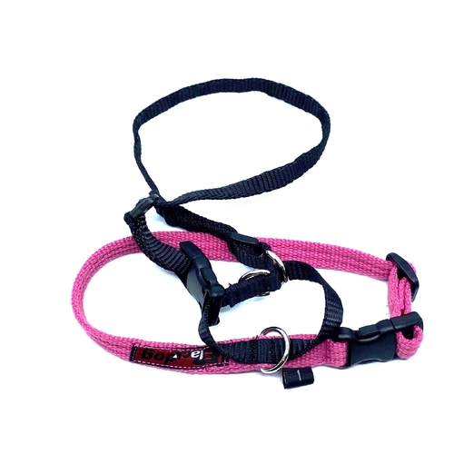 Black Dog Haltermate Halter - Size 1 - Pink